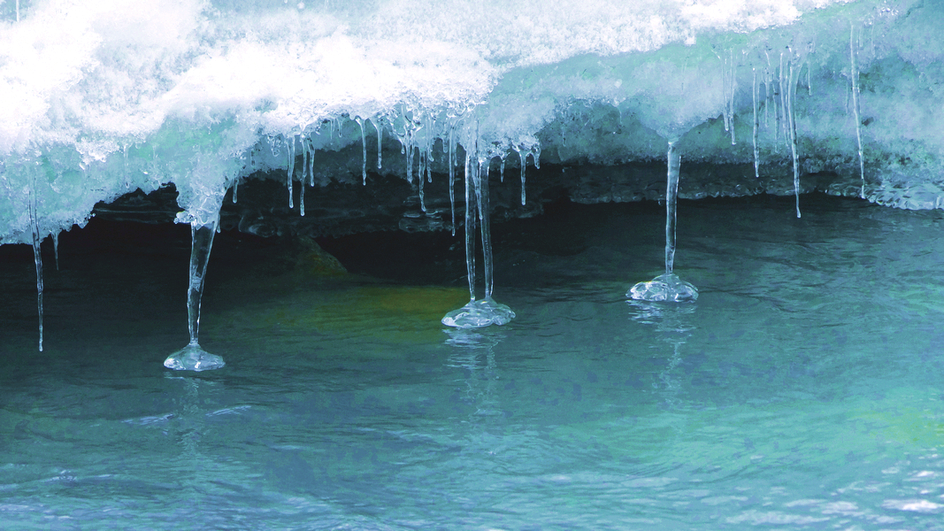 �����ӱ����µ��������� (6).jpg