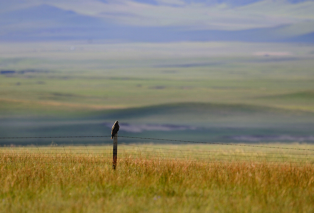 _DSC6093   1.jpg