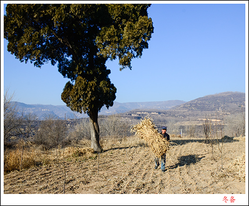 2013��12��7�ո���1 040.jpg