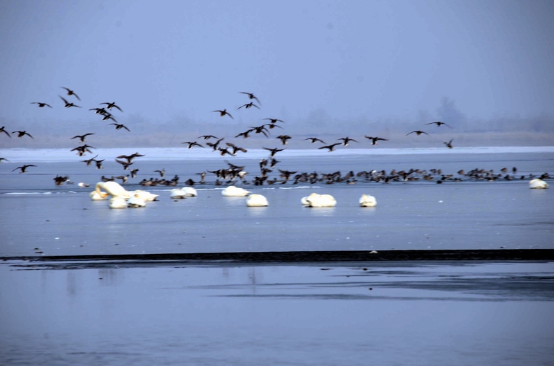 �������2