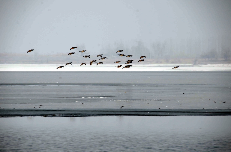 �������3