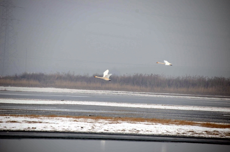 �������4