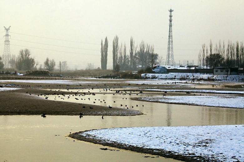 1��С�װ���۲�վ��