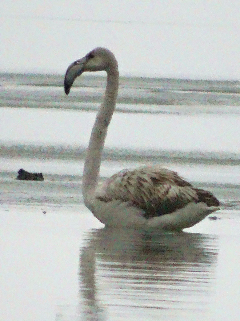 ������-3