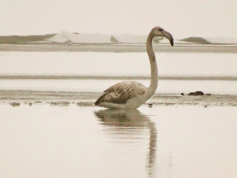 ������-4