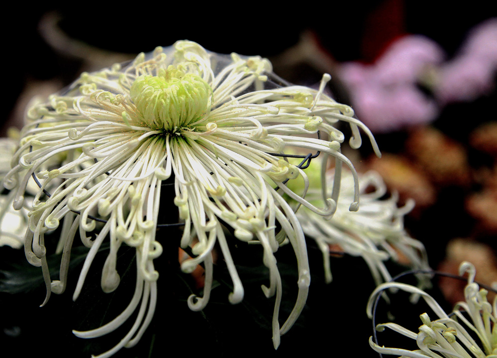 ����̨��8���� 016����.jpg