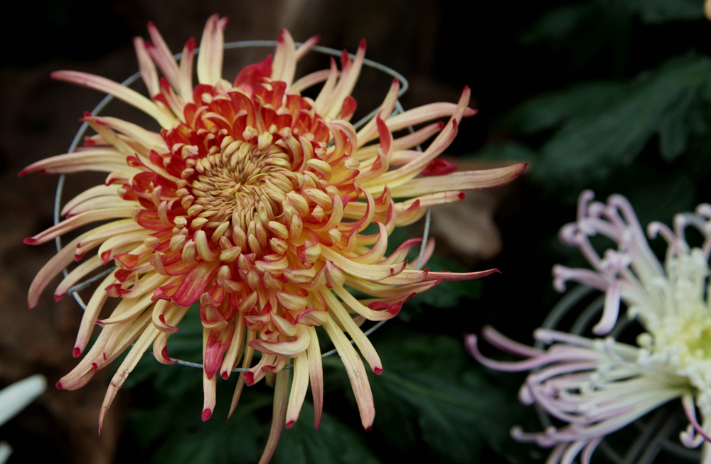 ����̨��8���� 021����.jpg