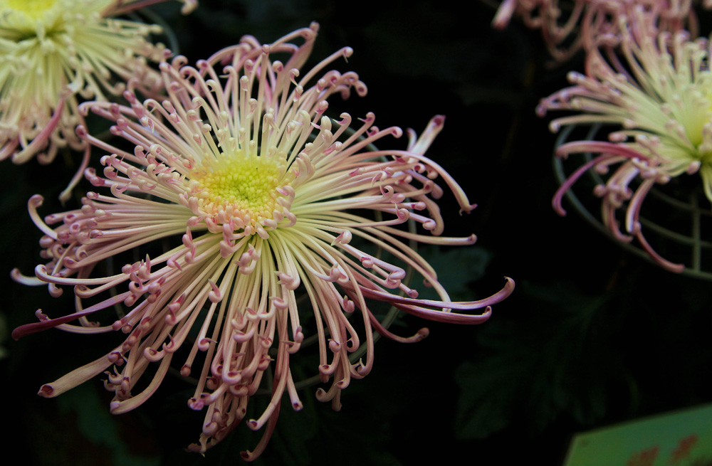 ����̨��8���� 034����.jpg