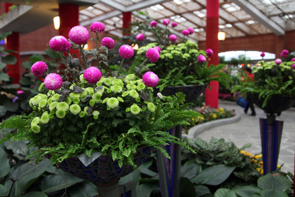 ����̨��8���� 039��������.jpg