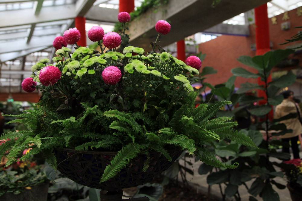 ����̨��8���� 041��������.jpg