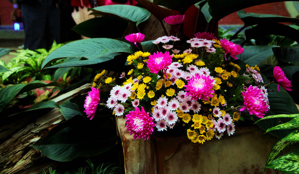 ����̨��8���� 051����.jpg