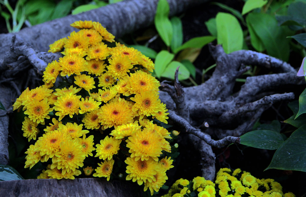 ����̨��8���� 052����.jpg