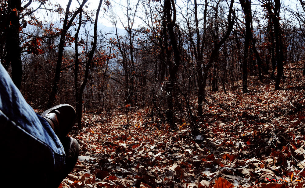 ����ɽ (5).jpg