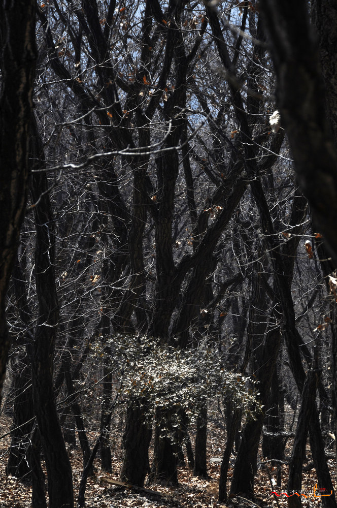 ����ɽ (13).jpg