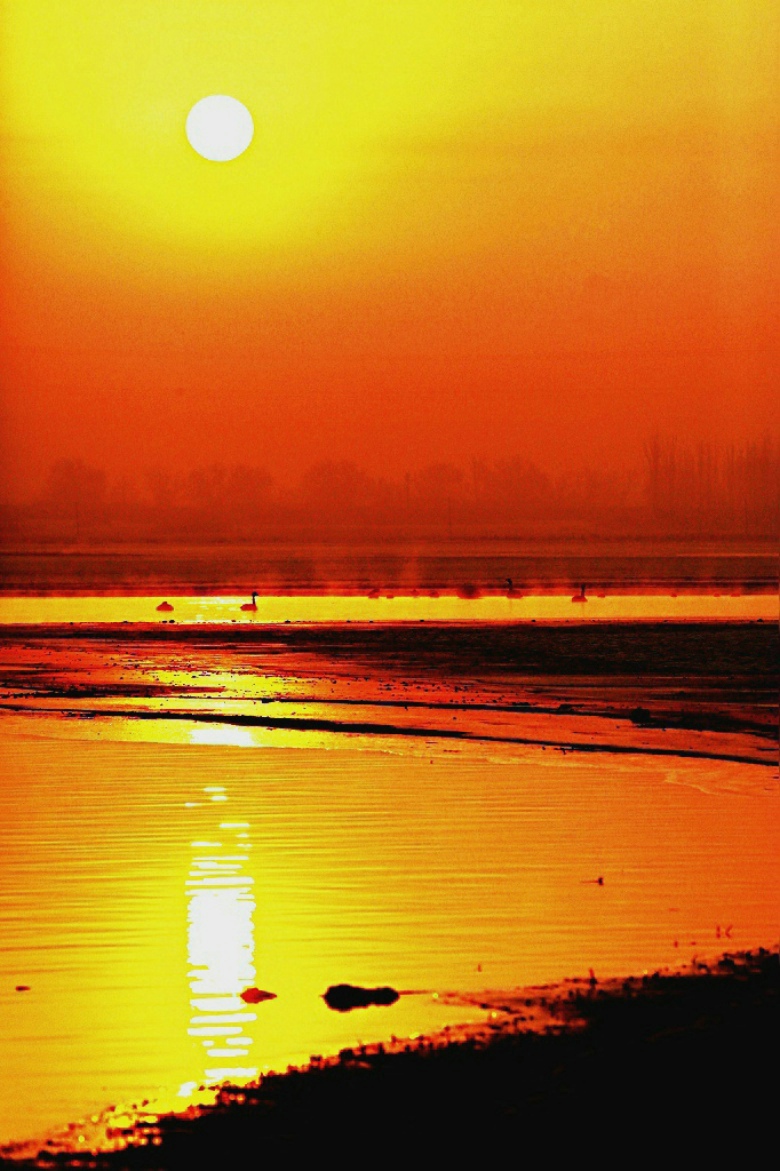 2�ճ�������