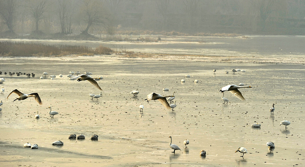 DSC_4429 1.jpg