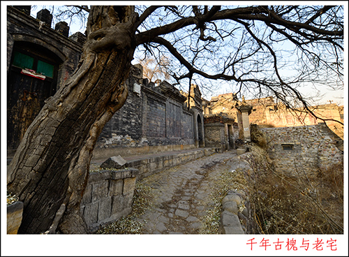 2013��12��7�ո��� 1046.jpg