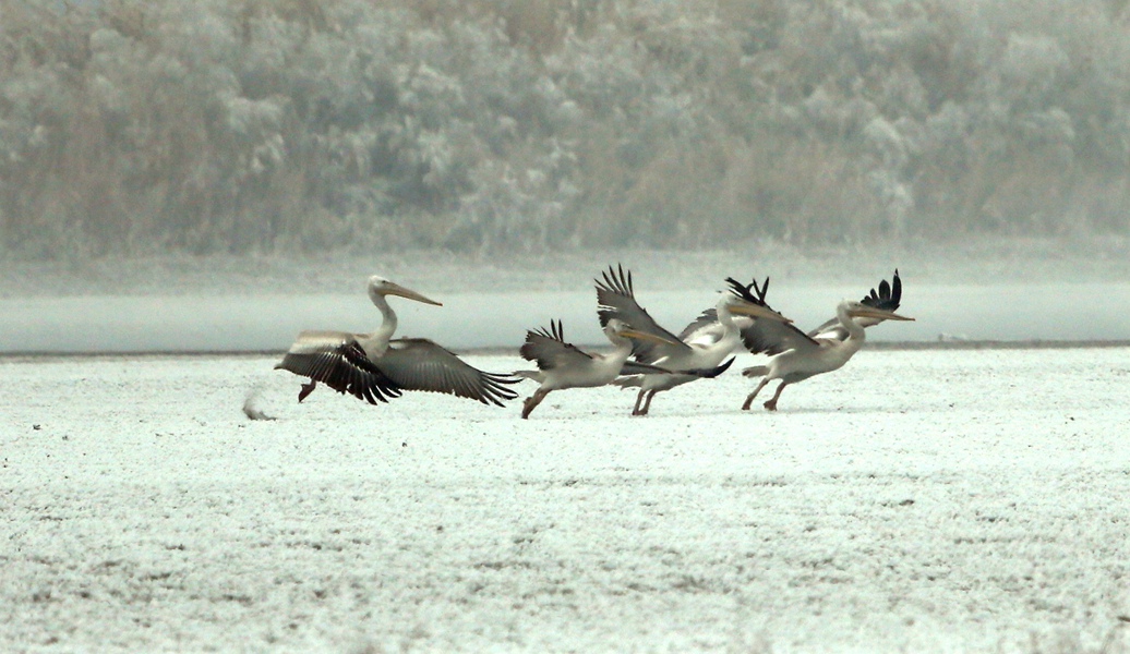 12�±������� (1).jpg