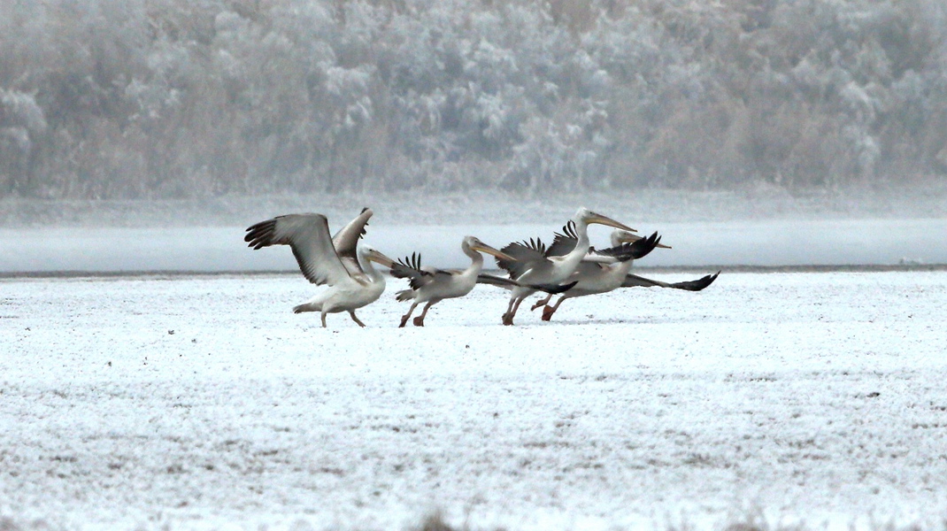 12�±������� (2).jpg