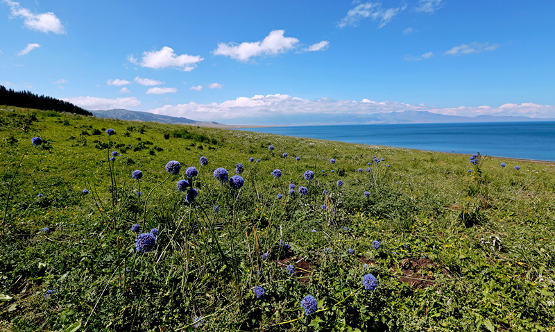 �����߷�˶�Ĳ�ԭ