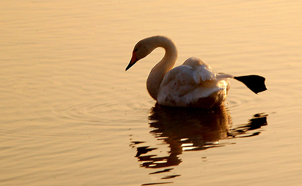 DSC_4094.JPG