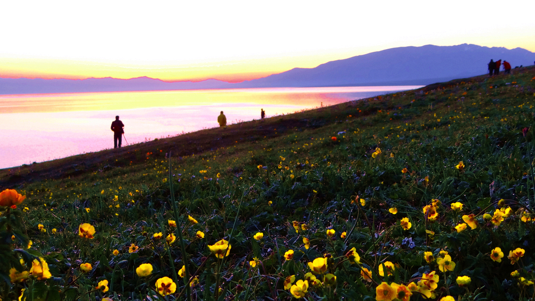 ����ľ��֮��  (4).jpg