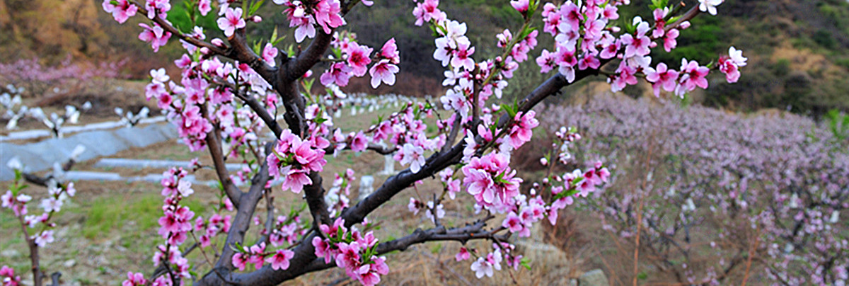 ��Ƭ 098_����.jpg