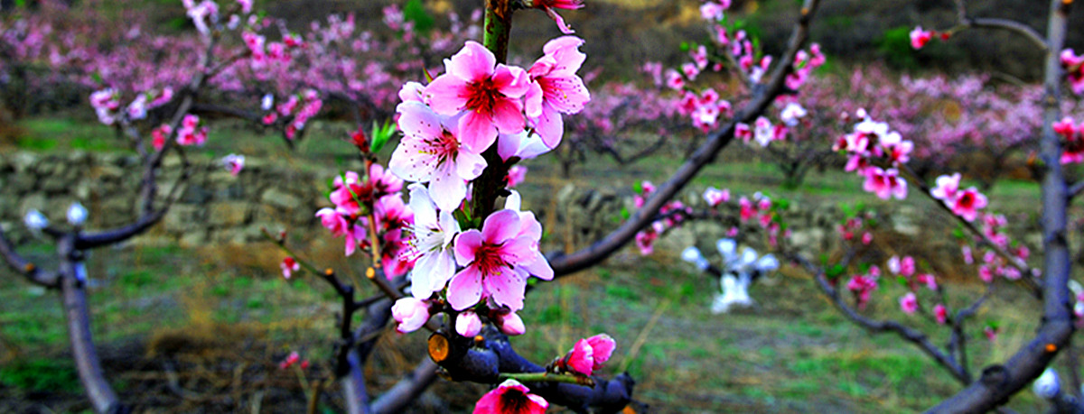 ��Ƭ 094_����.jpg