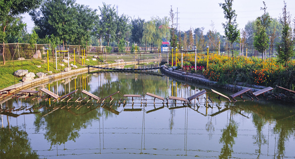 ��Ƭ 075_1_����.jpg