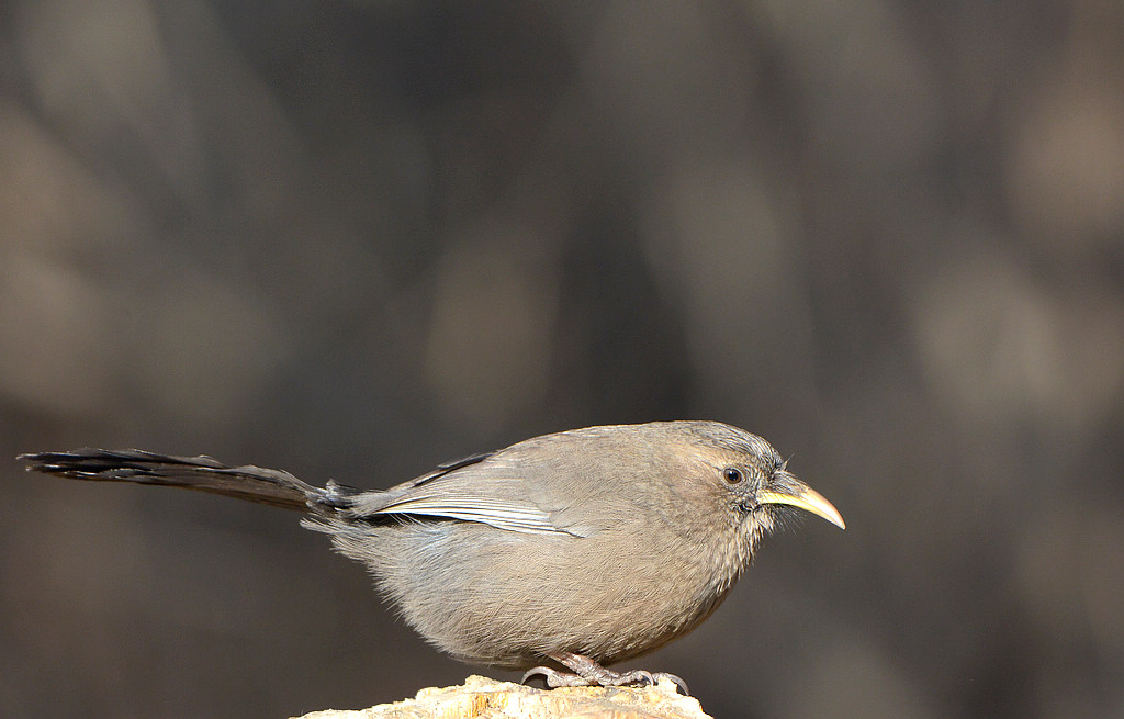 DSC_8714.jpg