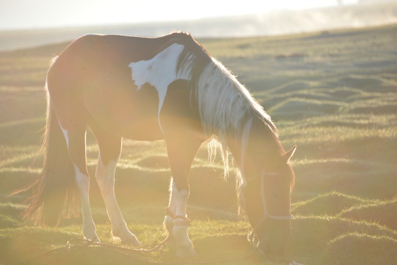 ������³�˿���