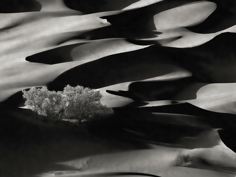 2 ��Į����.jpg