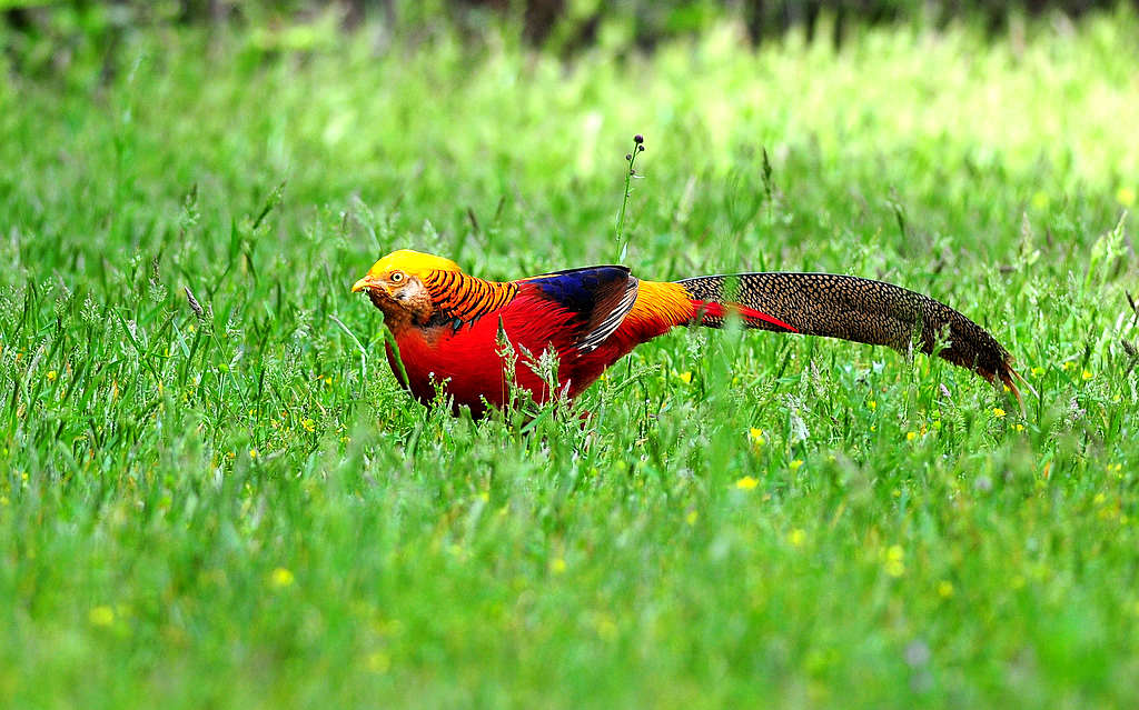 DSC_0036  1.jpg