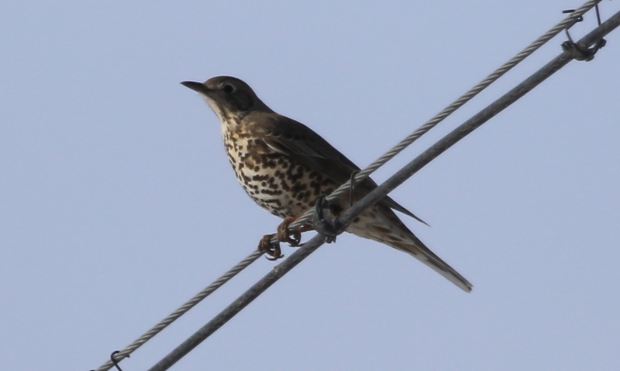 ����ʲô�� (2).jpg