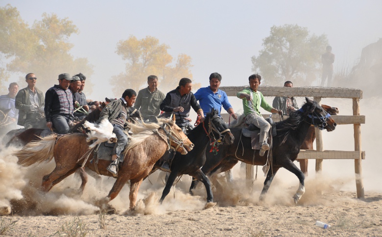 ���򡣡���������