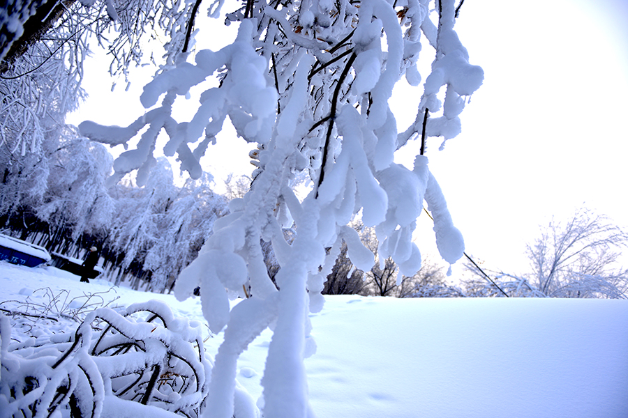 2013ʯ����֮��