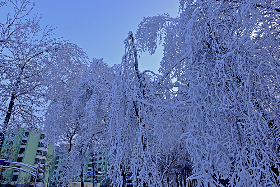 2013ʯ����֮��