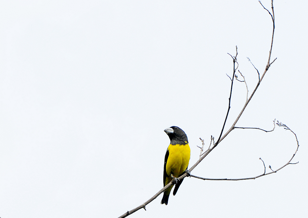 DSC_0848   1.jpg