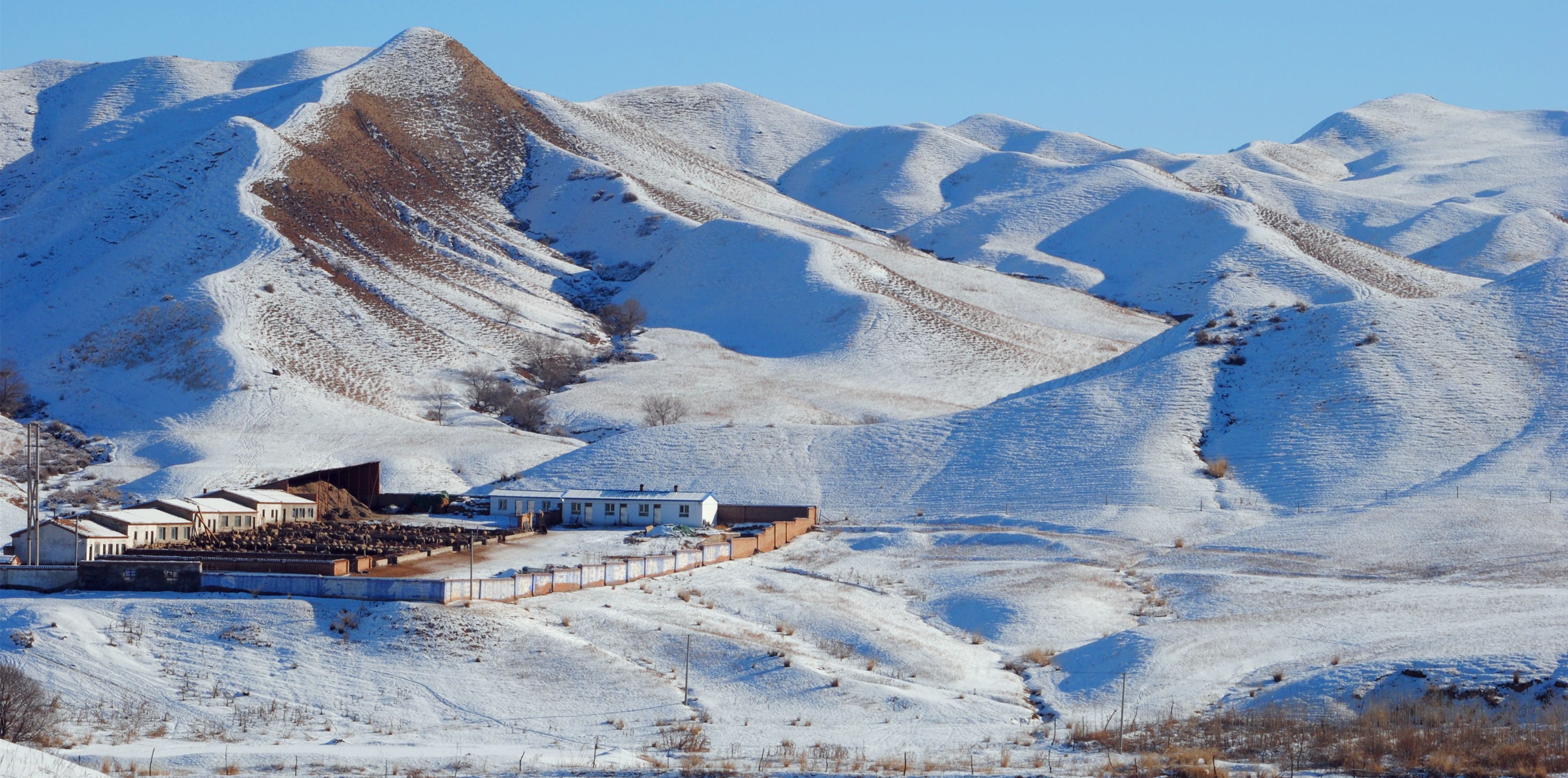 ��ǿ��Ӱ 046_����_����.jpg