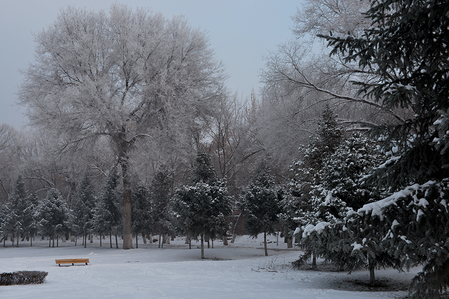 ���н֡�����԰С��