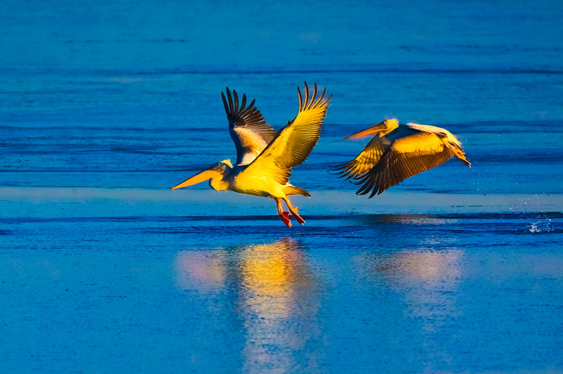 �����¿� ֮��.jpg