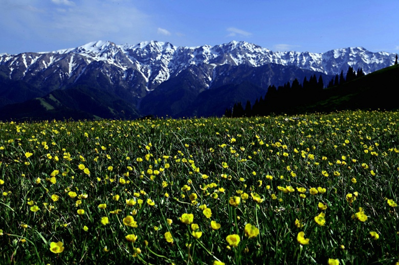 ɽ������