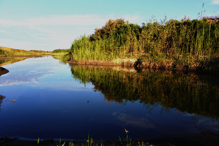 ����˹�����η��