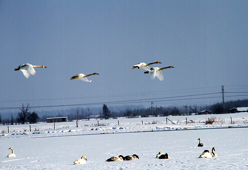 �����ˣ����߰�