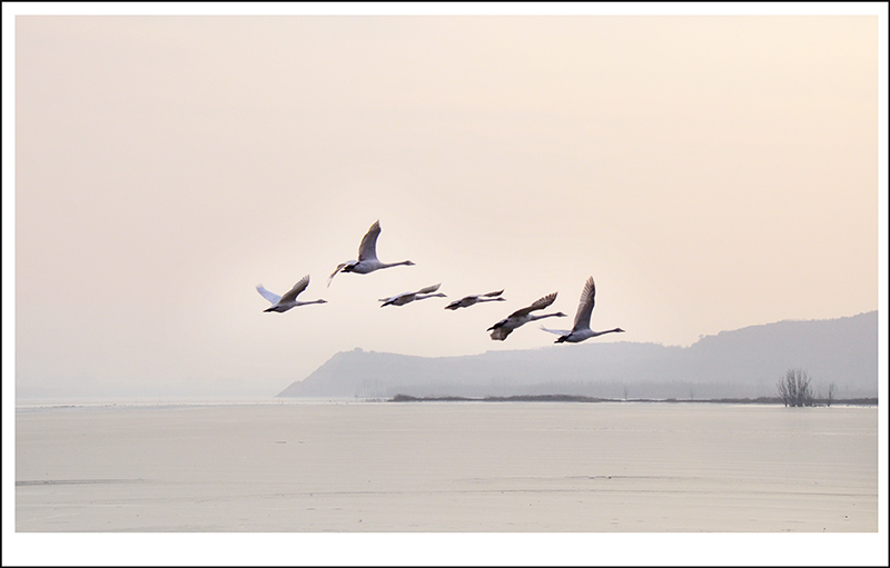 2013��12��28��ƽ½�������Ƭ ����09.jpg