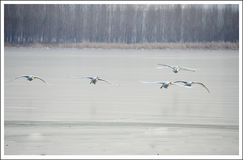 2013��12��28��ƽ½�������Ƭ ����0961.jpg