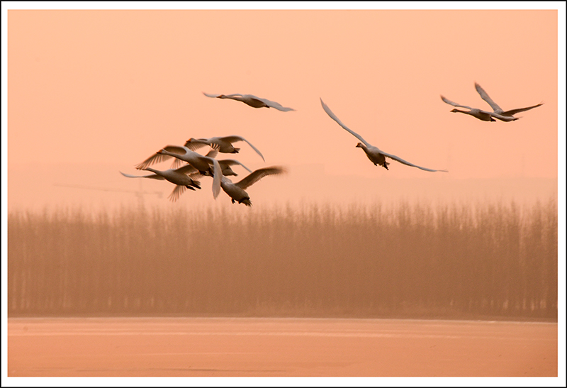 2013��12��28��ƽ½�������Ƭ ����4981.jpg