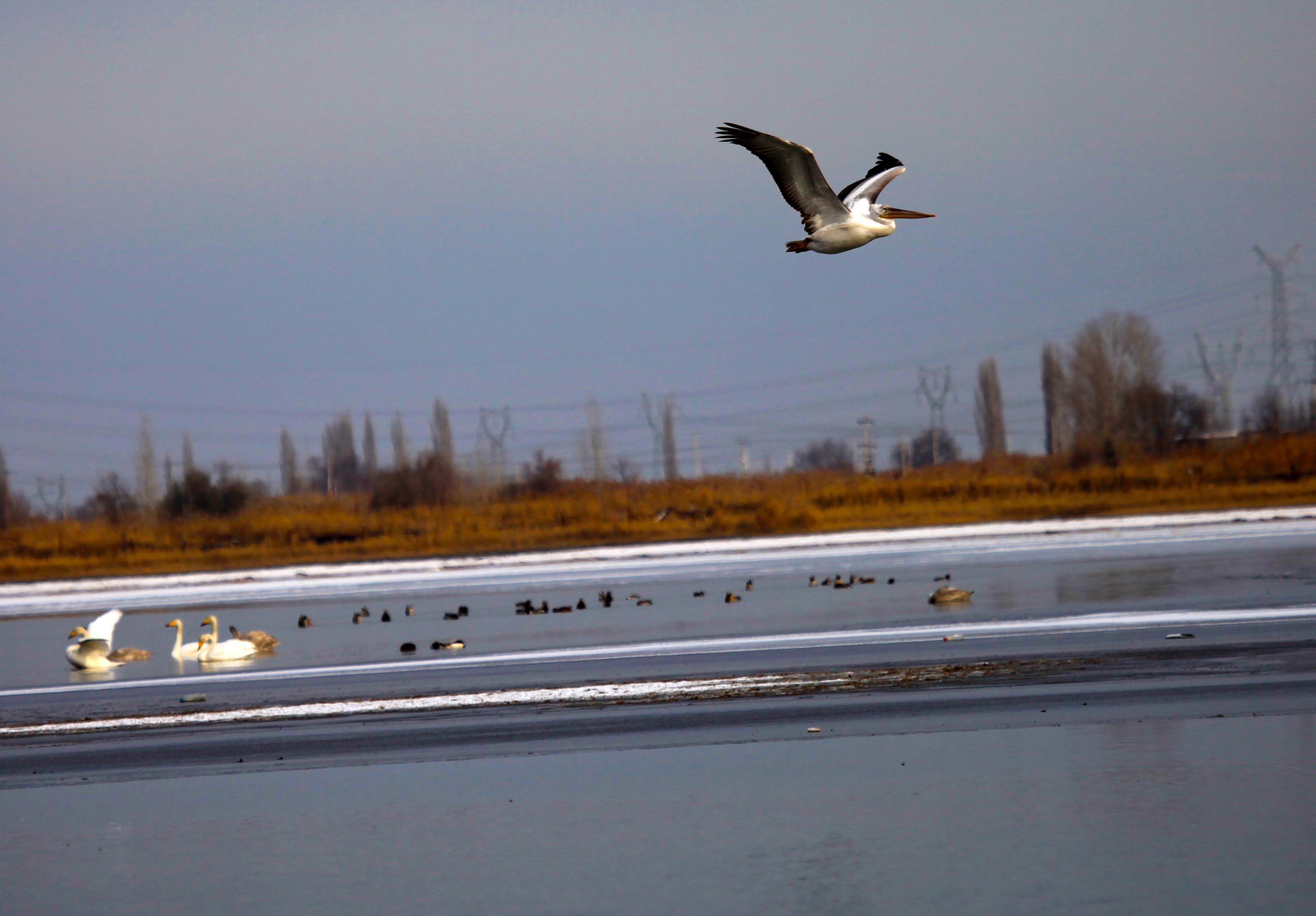 ��������