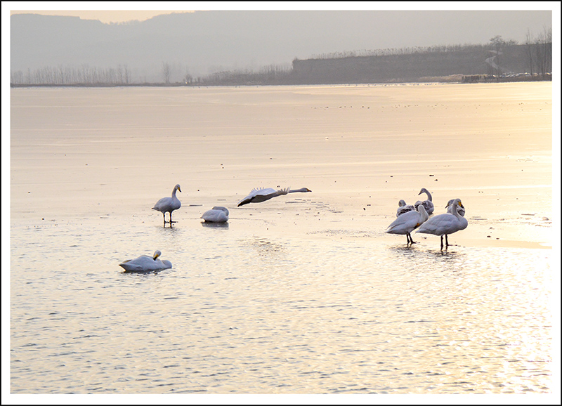 2013��12��28��ƽ½�������Ƭ ����18.jpg