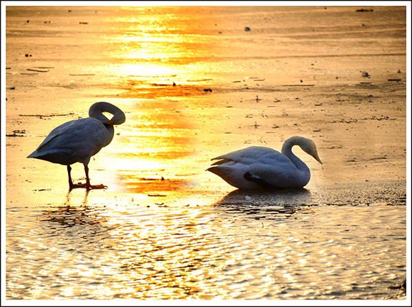 2013��12��28��ƽ½�������Ƭ ����24.jpg